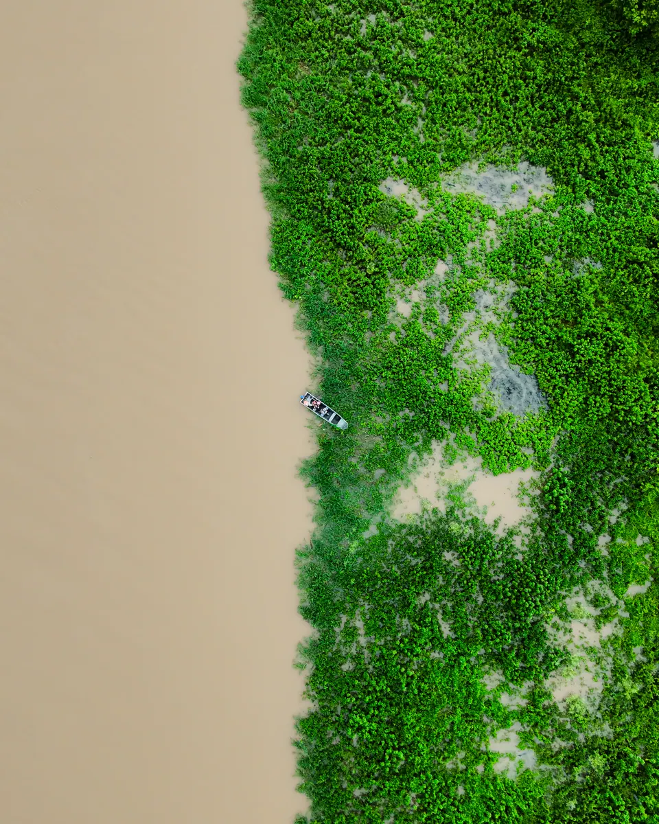Luftaufnahme eines Pantanal-Flusses, gesäumt von Schwimmpflanzen