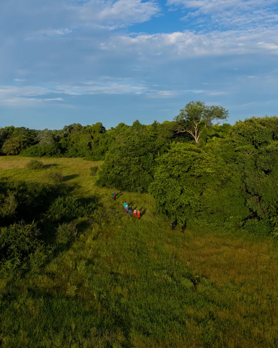 Pequeño grupo en un trekking guiado por los campos, visto desde el aire
