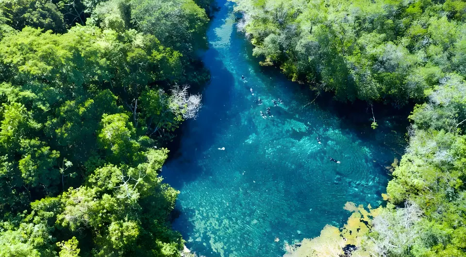 Aerial view of a turquoise river in the forest near Bonito