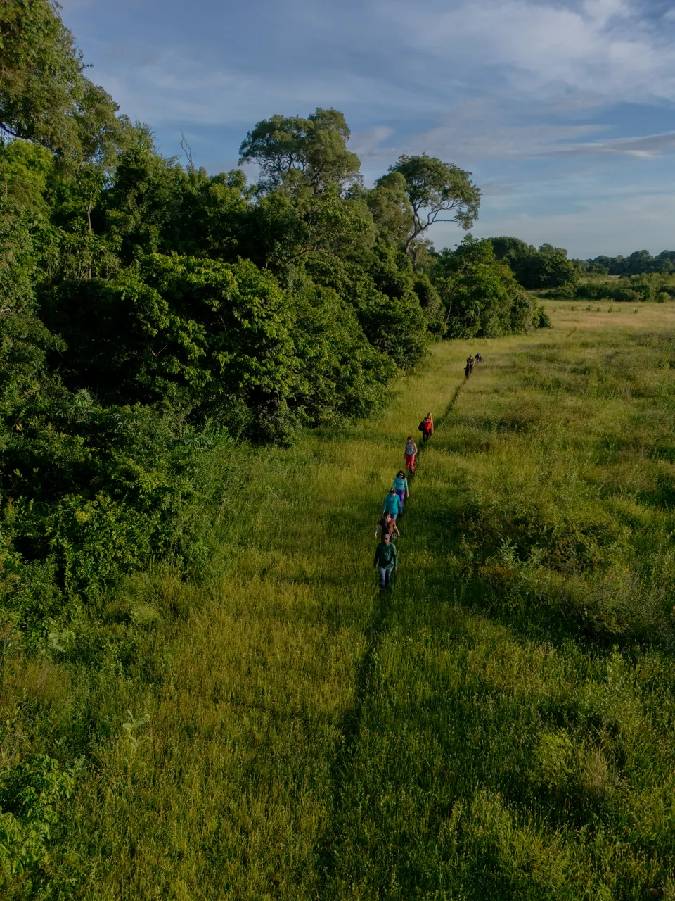 Guía y huéspedes caminando por el borde de un bosque
